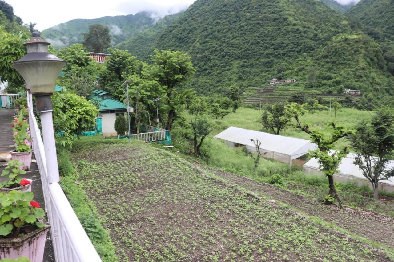 Kalindi Nature Resort Lakhamandal Myani Екстериор снимка